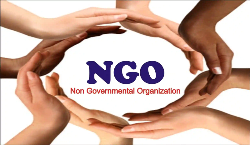 NGO-Website