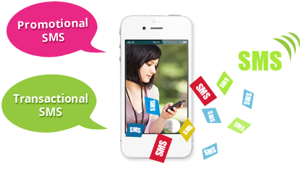 SMS Solution is needed for your Business